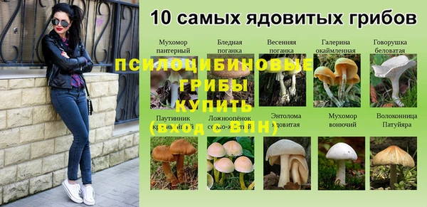 первитин Алексин
